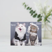 Twee schattige katten aankondigingskaart (Staand voorkant)