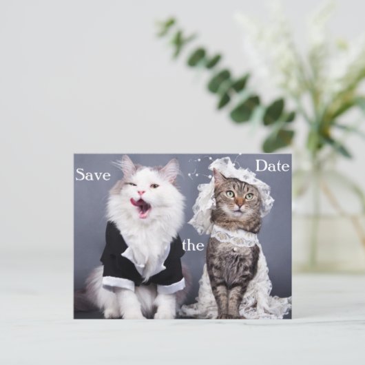 Twee schattige katten aankondigingskaart (Staand voorkant)