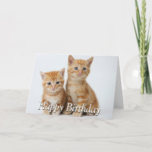 Twee Schattige Kittens Kaart