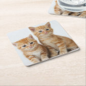 Twee Schattige Kittens Kartonnen Onderzetters (Schuin)