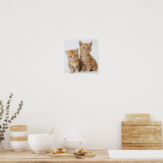 Twee Schattige Kittens Poster (Keuken)