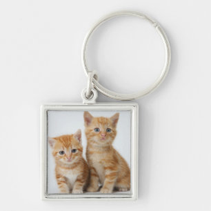 Twee Schattige Kittens Sleutelhanger
