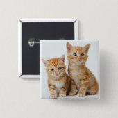 Twee Schattige Kittens Vierkante Button 5,1 Cm (Voorkant /achterkant)