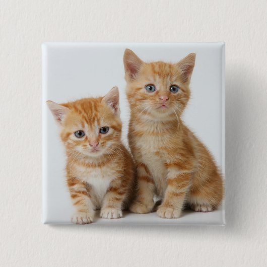 Twee Schattige Kittens Vierkante Button 5,1 Cm (Voorkant)