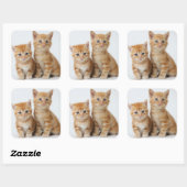 Twee Schattige Kittens Vierkante Sticker (Vel)