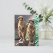 Twee schattige kratten die oplettend zijn briefkaart (Staand voorkant)