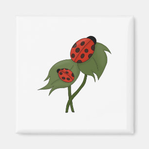 Twee schattige ladybugs op een plant magneet