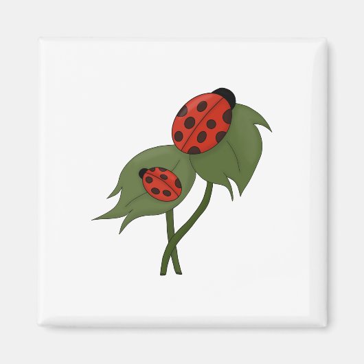 Twee schattige ladybugs op een plant magneet (Voorkant)