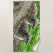 Twee schattige Meerkats strandlaken (Voorkant)