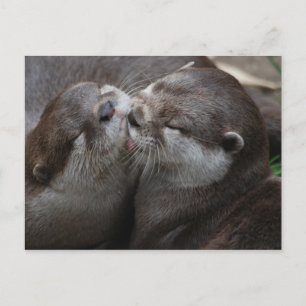 Twee Schattige otters Briefkaart