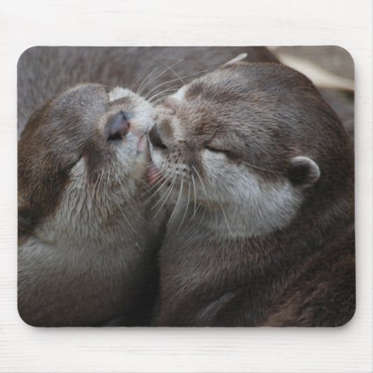 Twee Schattige otters Muismat (Voorkant)