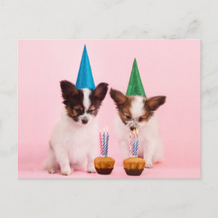 Twee schattige puppy's /m verjaardagshoeden en kaa briefkaart