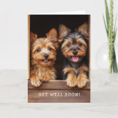Twee Schattige Speelse Yorkies Beterschap Kaart (Voorkant)