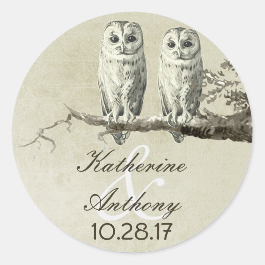 Twee schattige uilen bruiloft stickers (Voorkant)