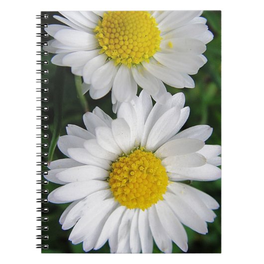 Twee schattige, witte notitieboek (Voorkant)