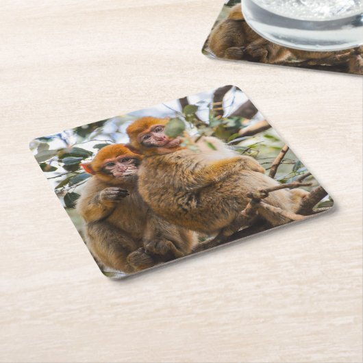 Twee Schattigee apen Kartonnen Onderzetters (Schuin)