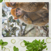 Twee Schattigee apen Theedoek (Gevouwen)