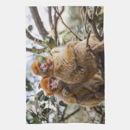 Twee Schattigee apen Theedoek (Verticaal)