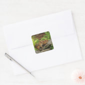 Twee Schattigee Baby Chipmunks Vierkante Sticker (Envelop)