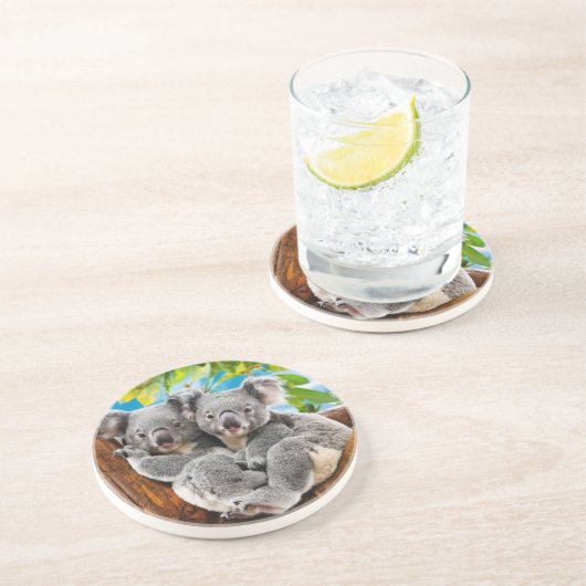 Twee Schattigee Koala Beren Onderzetter (Zijkant)
