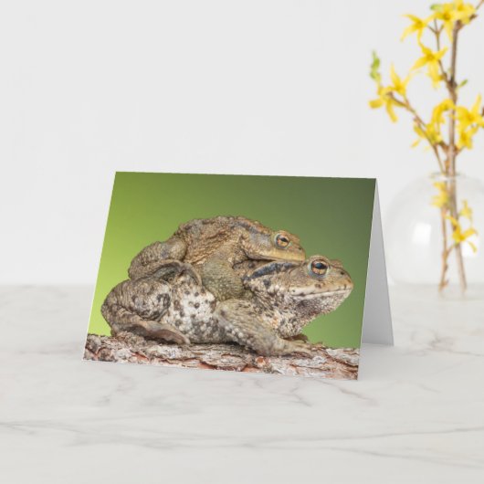 Twee Schattigee padden Kaart (Gele Bloem)