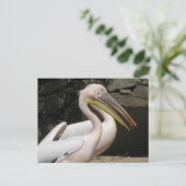 Twee Schattigee Pelicans DIY Briefkaart (Staand voorkant)
