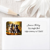 Twee Schattigee Puppies spelen in herfst bladeren Etiket (Insitu)