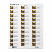 Twee Schattigee Puppies spelen in herfst bladeren Etiket (Full Sheet)