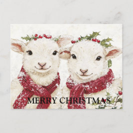 Twee Schattigee schapen Briefkaart