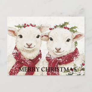 Twee Schattigee schapen Briefkaart