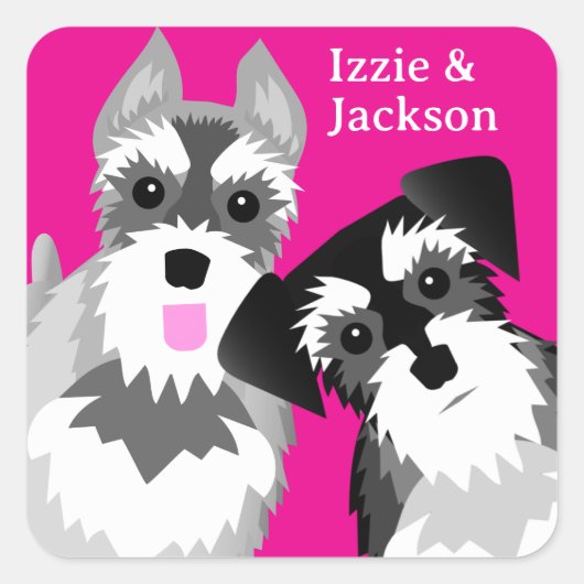 Twee Schattigee Schnauzers Vierkante Sticker (Voorkant)