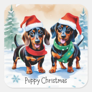 Twee Schattigee Teckel Puppies Pet Dog Puppy Kerst Vierkante Sticker