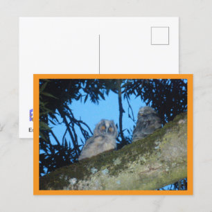 Twee Schattigee Uilen met lange oren in Tree DIY-B Feestdagenkaart