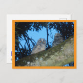 Twee Schattigee Uilen met lange oren in Tree DIY-B Feestdagenkaart (Voorkant / Achterkant)