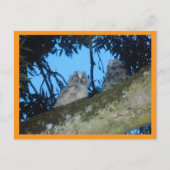 Twee Schattigee Uilen met lange oren in Tree DIY-B Feestdagenkaart (Voorkant)