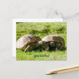 Twee schildpadden - Beste vrienden! Ansichtkaart Briefkaart