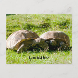 Twee schildpadden - beste vrienden! Briefkaart