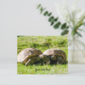 Twee schildpadden - beste vrienden! Briefkaart (Staand voorkant)