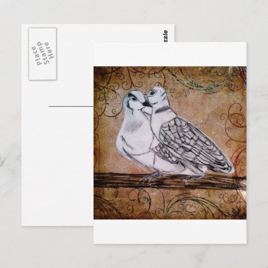 Twee schildpadden briefkaart (Voorkant / Achterkant)