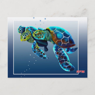 Twee schildpadden briefkaart