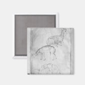 Twee schildpadden, geiten en schapen magneet (Voorkant / Achterkant)