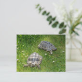 Twee schildpadden in groen gras briefkaart (Staand voorkant)