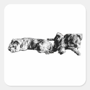 Twee Schnauzers – Zwart & Witte Hondensticker Vierkante Sticker