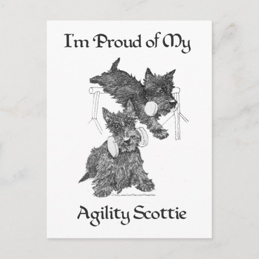 Twee Schotse Terriërs Agility Briefkaart (Voorkant)