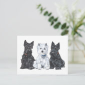 Twee Scotties en een Westie Briefkaart (Staand voorkant)