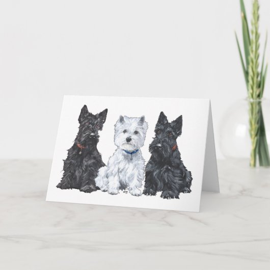 Twee Scotties en een Westie Kaart (Voorkant)