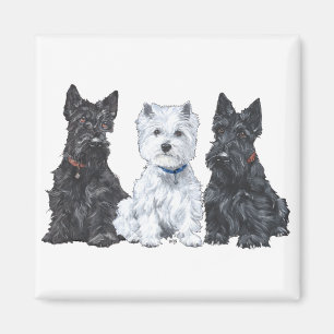 Twee Scotties en een Westie Magneet