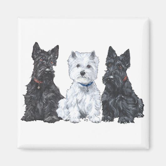 Twee Scotties en een Westie Magneet (Voorkant)