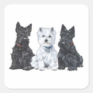 Twee Scotties en een Westie Vierkante Sticker