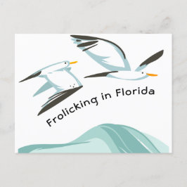 Twee Seagulls Frolicking in Florida Nieuw adres Aankondigingskaart